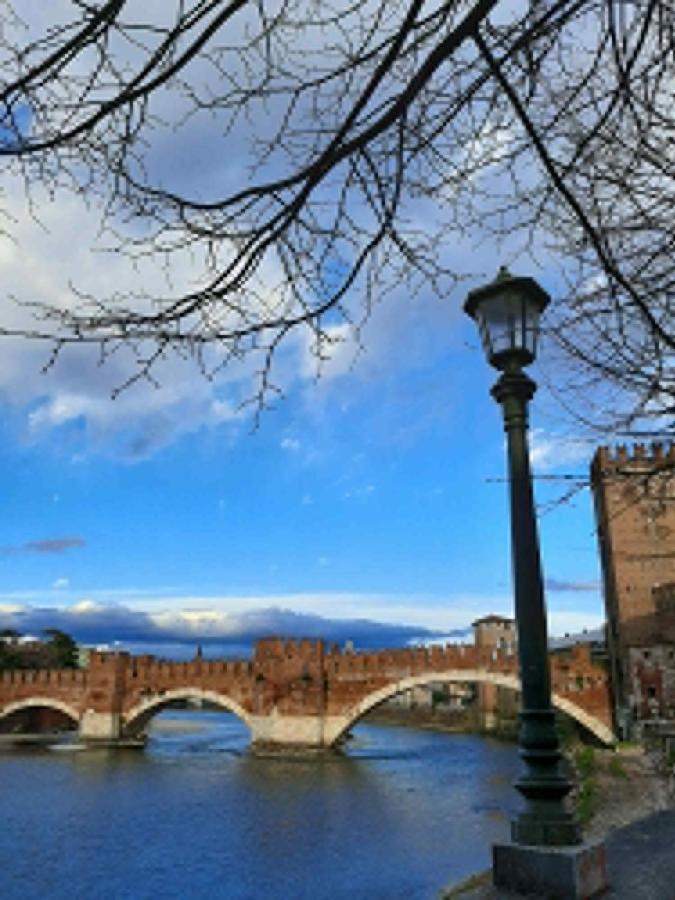 Villa Sul Lago Con Pontile Privato A Brenzone Sul Garda - Unique And Exclusive エクステリア 写真