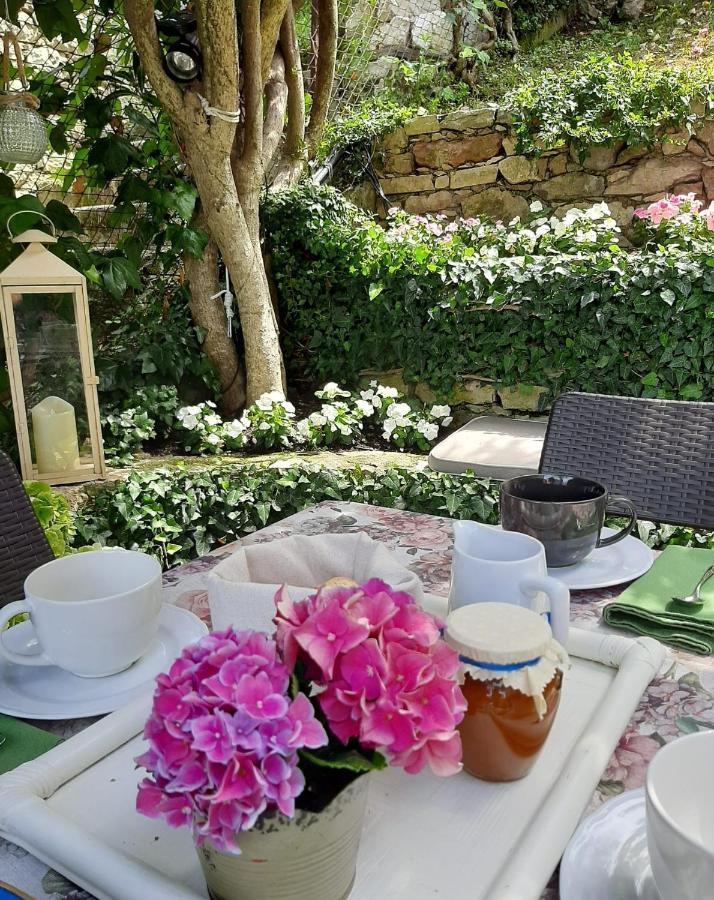Villa Sul Lago Con Pontile Privato A Brenzone Sul Garda - Unique And Exclusive エクステリア 写真